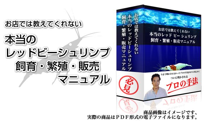 レッドビーシュリンプ 日の丸 作り方